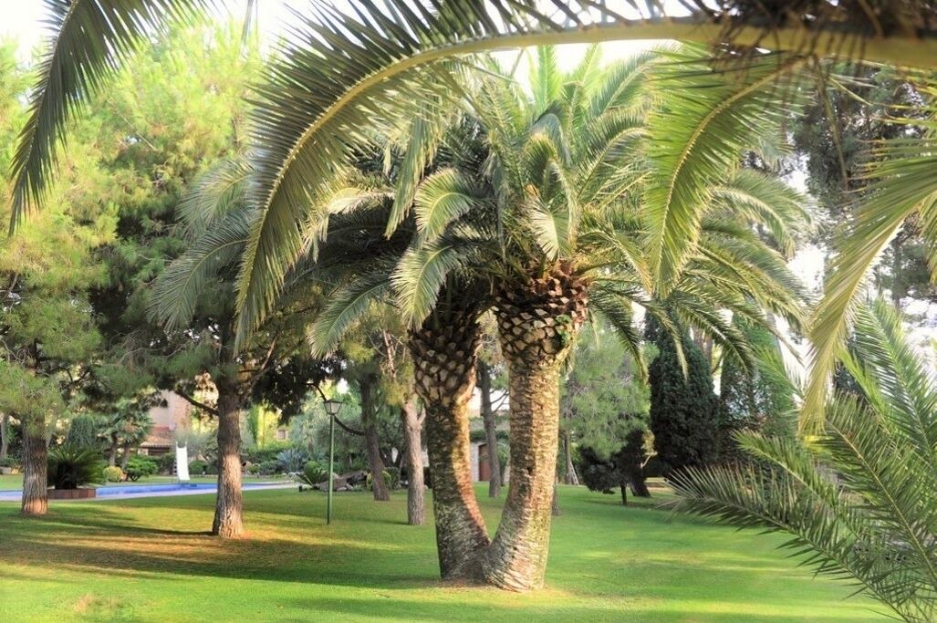 Photo of Outdoor in Santa Oliva