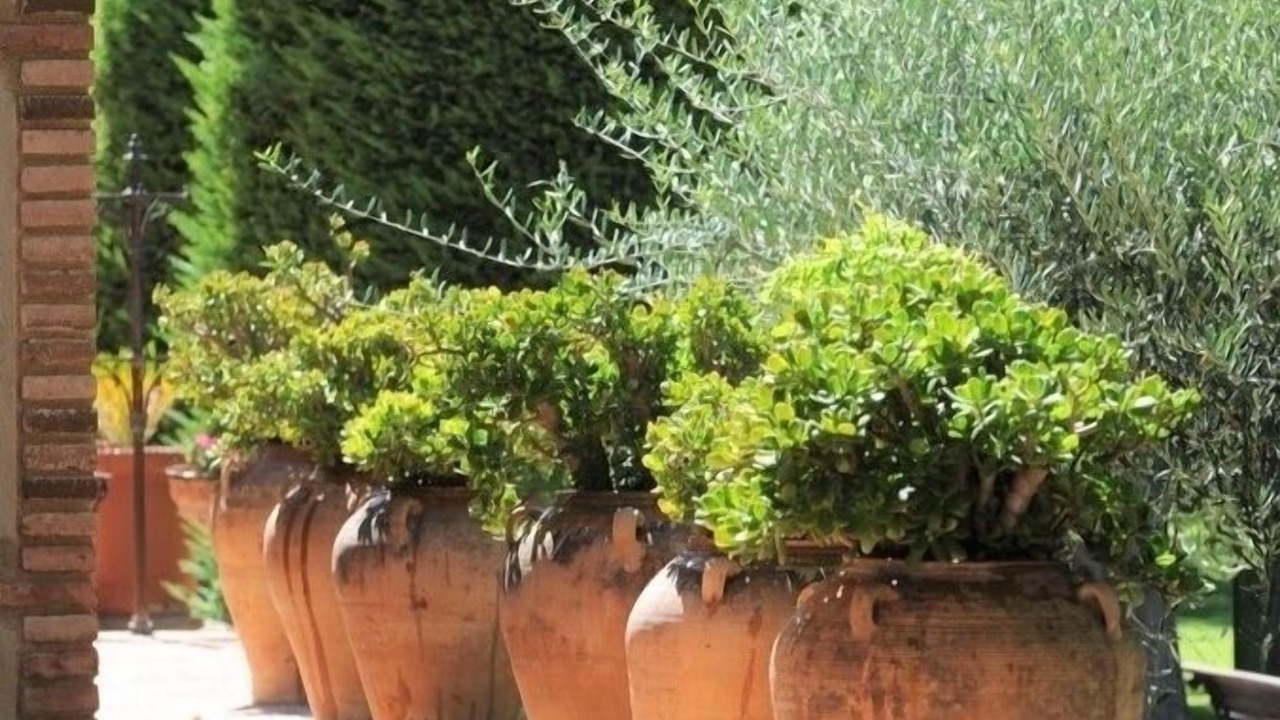 Photo of Outdoor in Santa Oliva