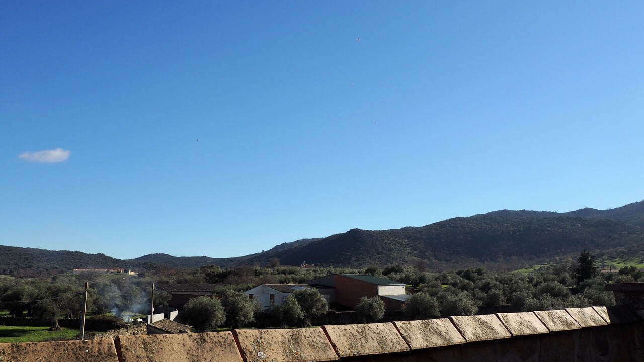 Photo of Others in Higuera de las Duenas