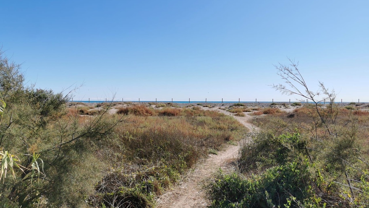 Photo of Others in Playa de Almarda