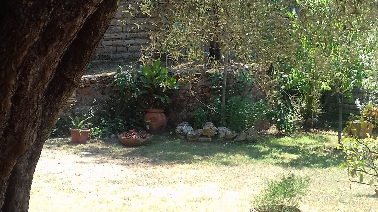 Photo of Outdoor in Quartiere XX Ardeatino
