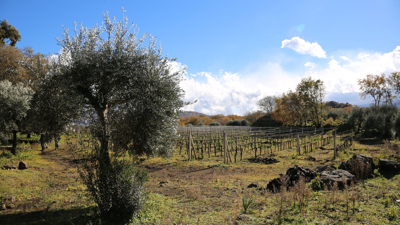 Photo of Others in Castiglione di Sicilia