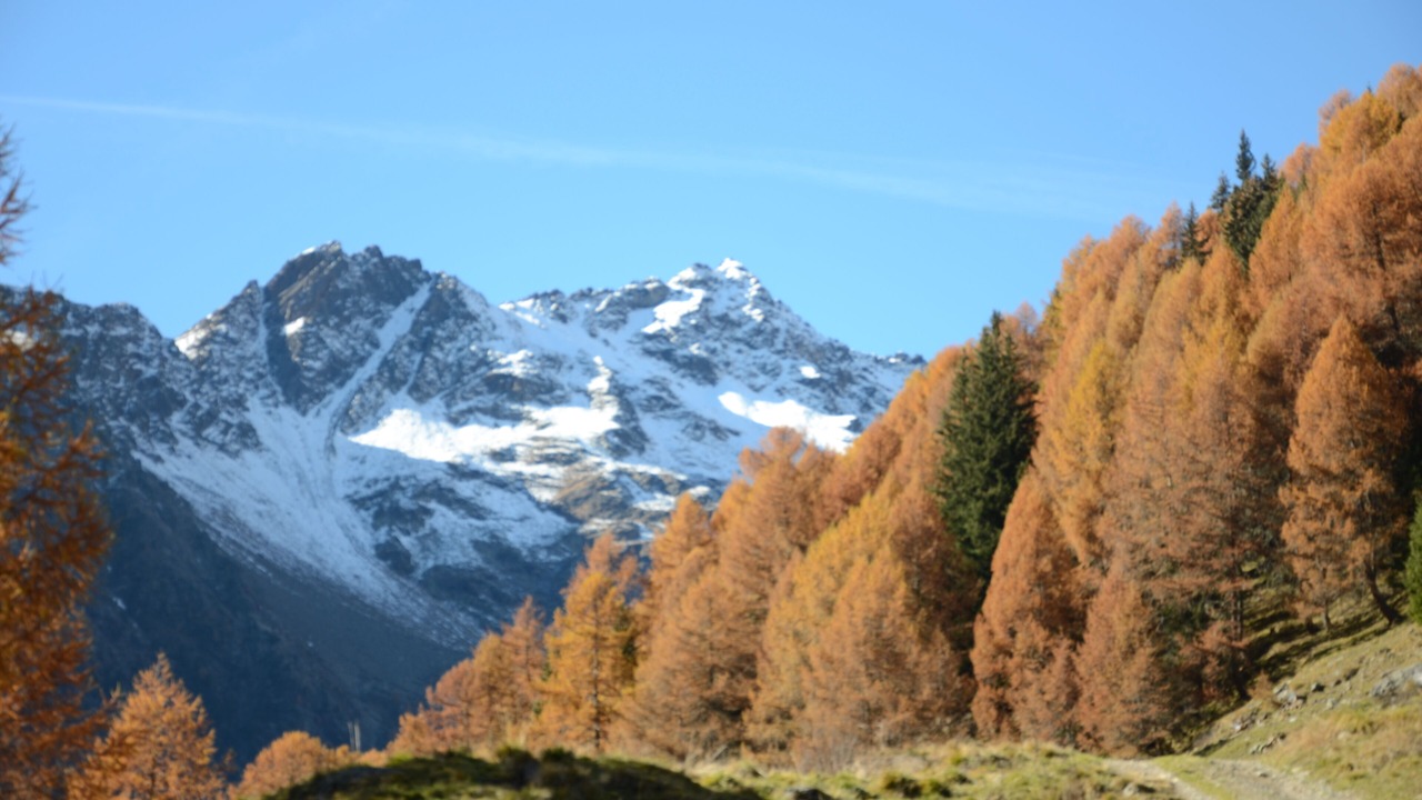 Photo of Outdoor in Cogolo