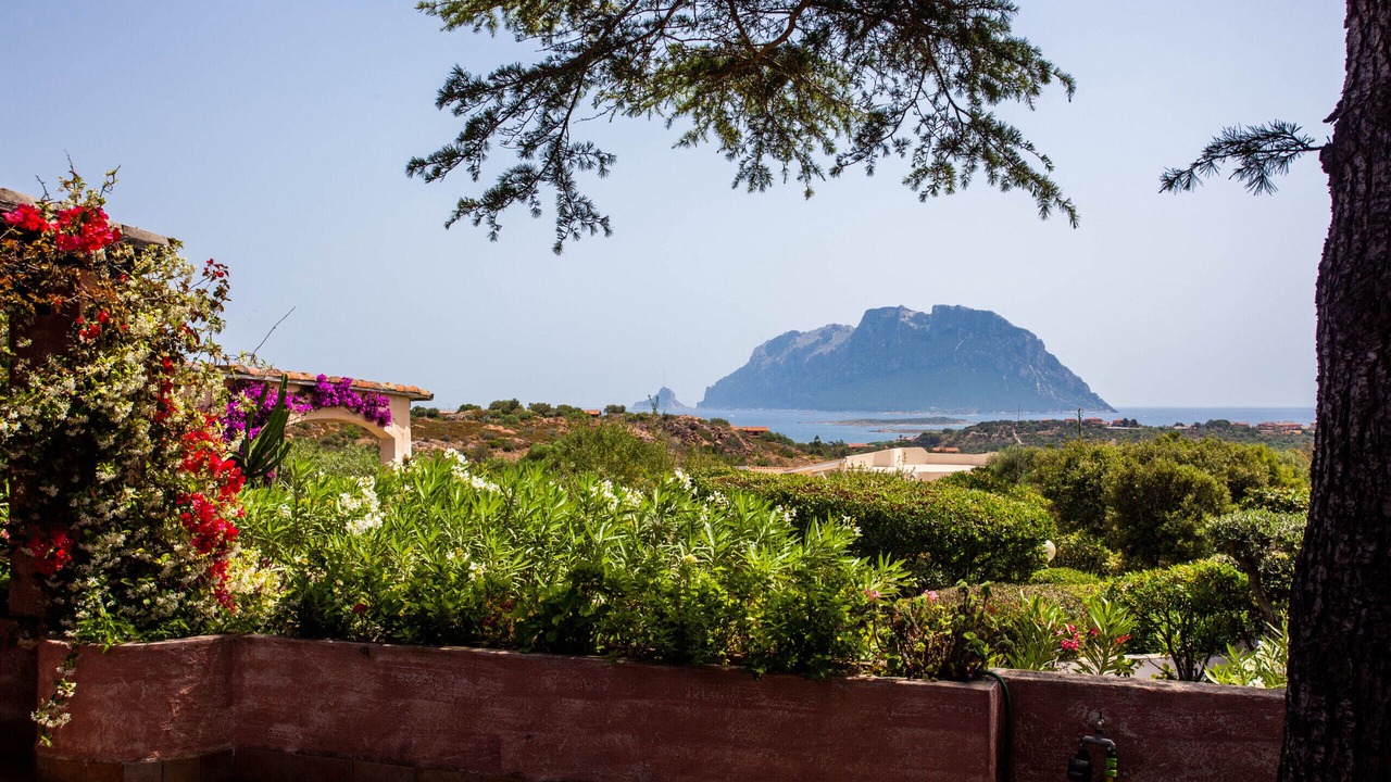 Photo of Others in Costa Corallina