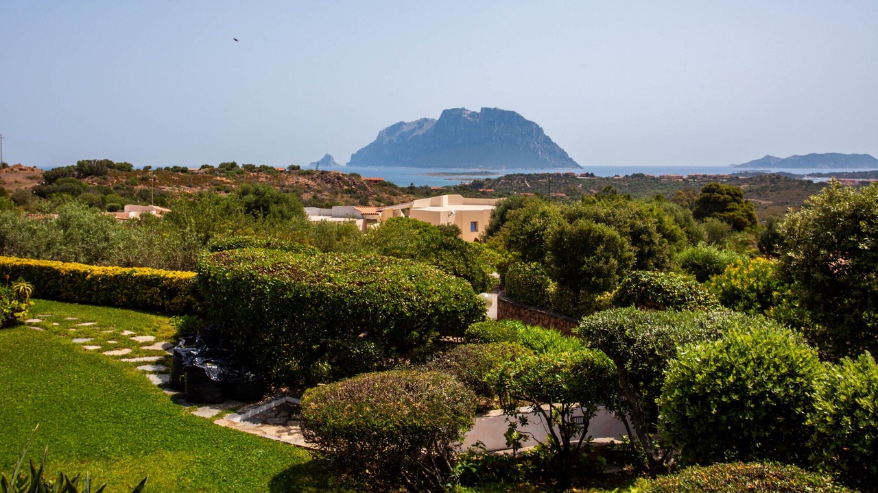 Photo of Outdoor in Costa Corallina