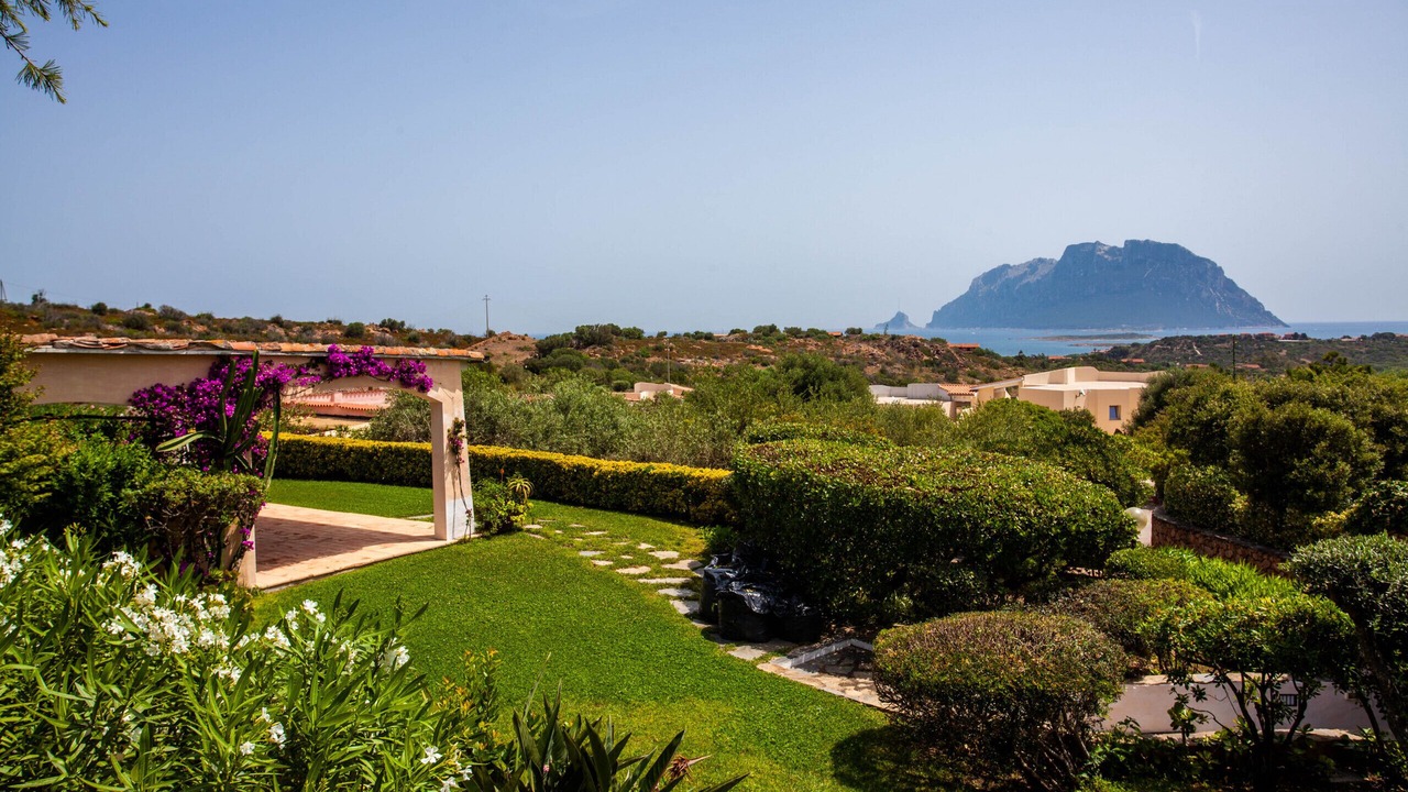 Photo of Outdoor in Costa Corallina