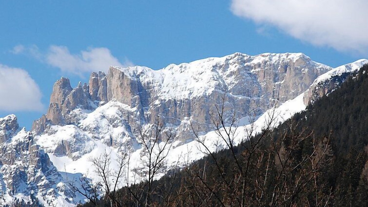 Photo of Others in Campitello di Fassa