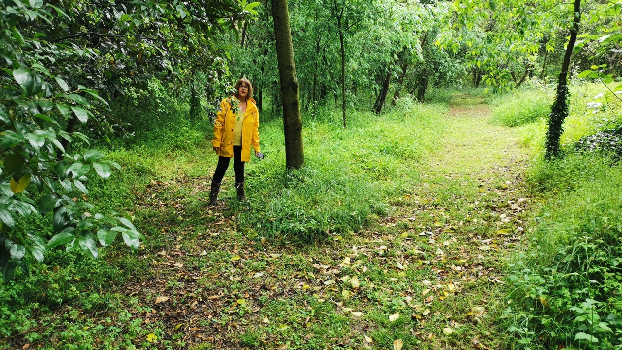 Photo of Outdoor in Serinya