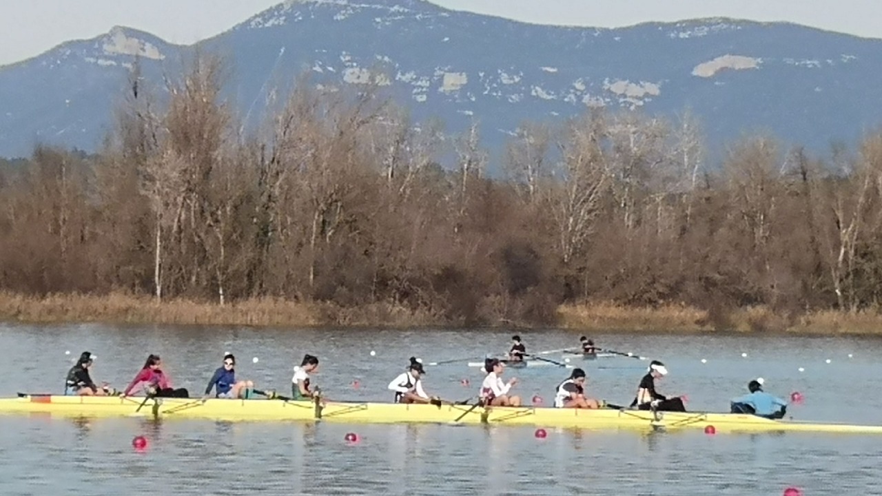 Photo of Others in Serinya