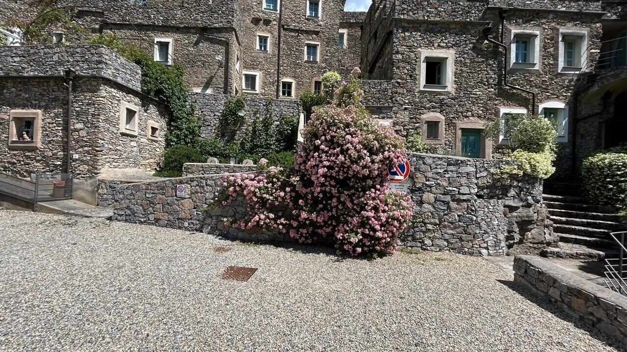 Photo of Others in Colletta