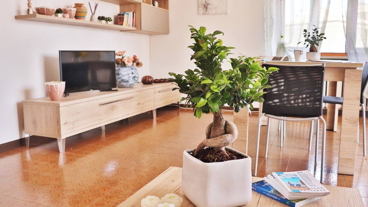 Photo of Livingroom in Rocca San Giovanni