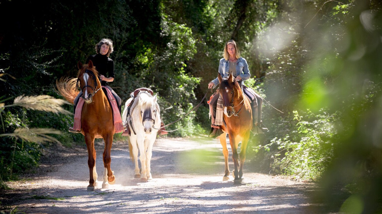 Photo of Others in Jimena de la Frontera