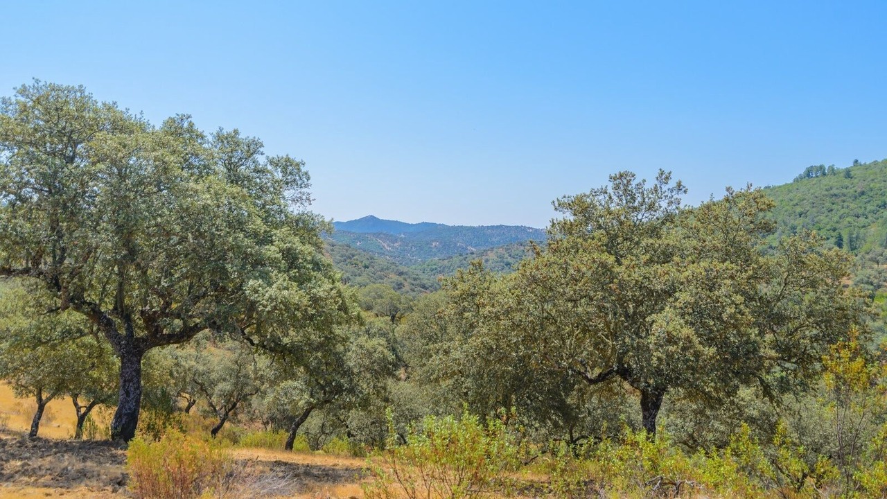 Photo of Outdoor in Villaviciosa de Cordoba