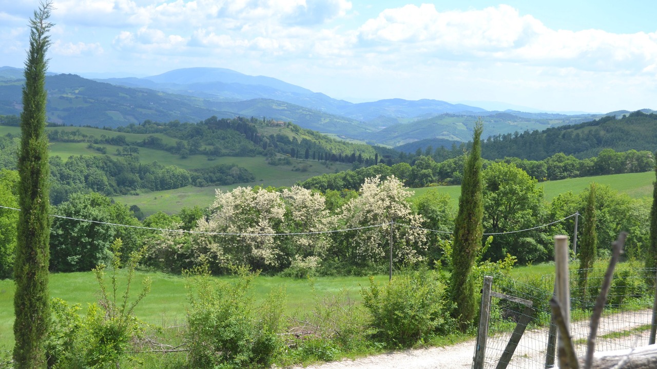 Photo of Outdoor in Mengara