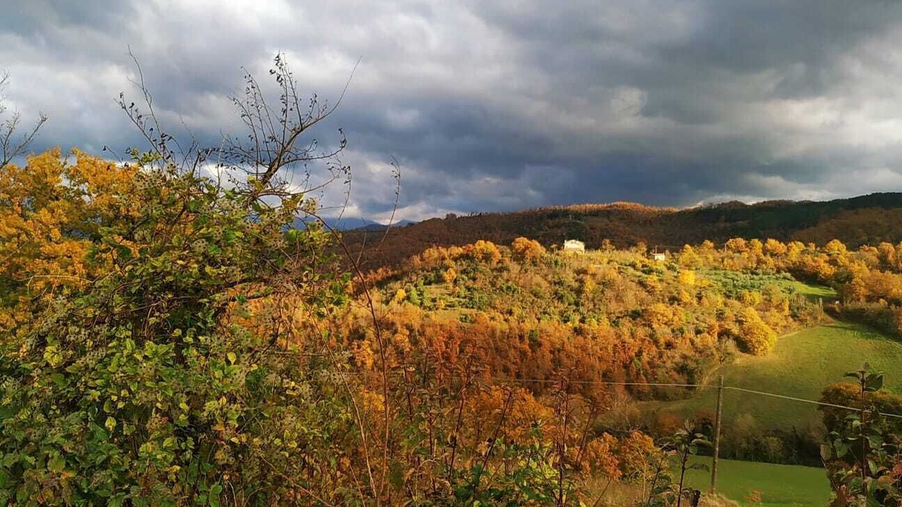 Photo of Outdoor in Mengara