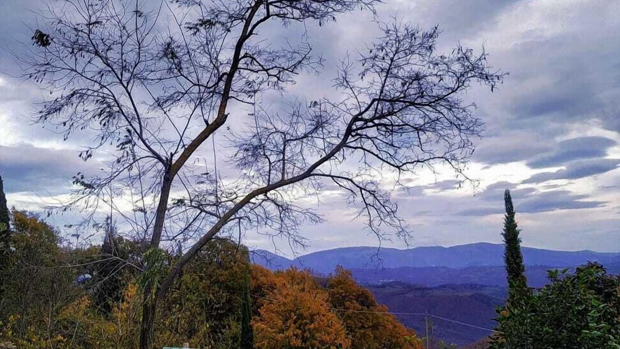 Photo of Outdoor in Mengara