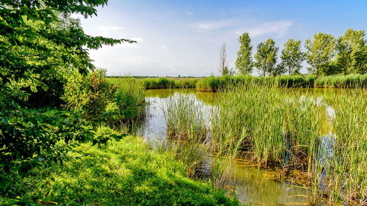 Photo of Outdoor in Palazzolo dello Stella