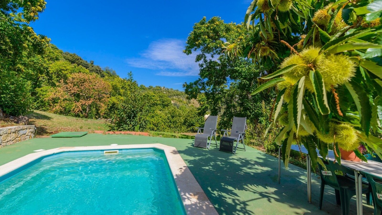 Photo of Outdoor in Cartajima