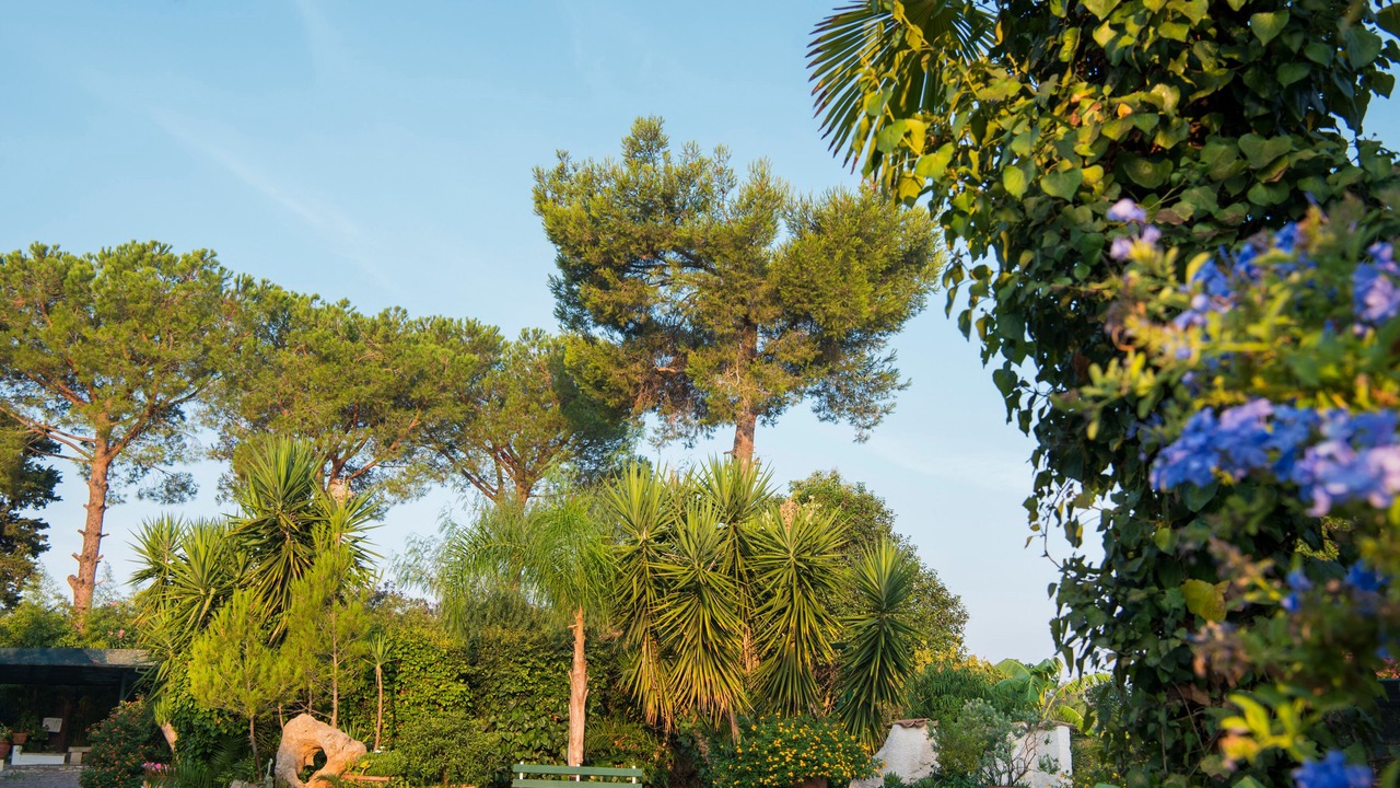 Photo of Outdoor in Province of Lecce