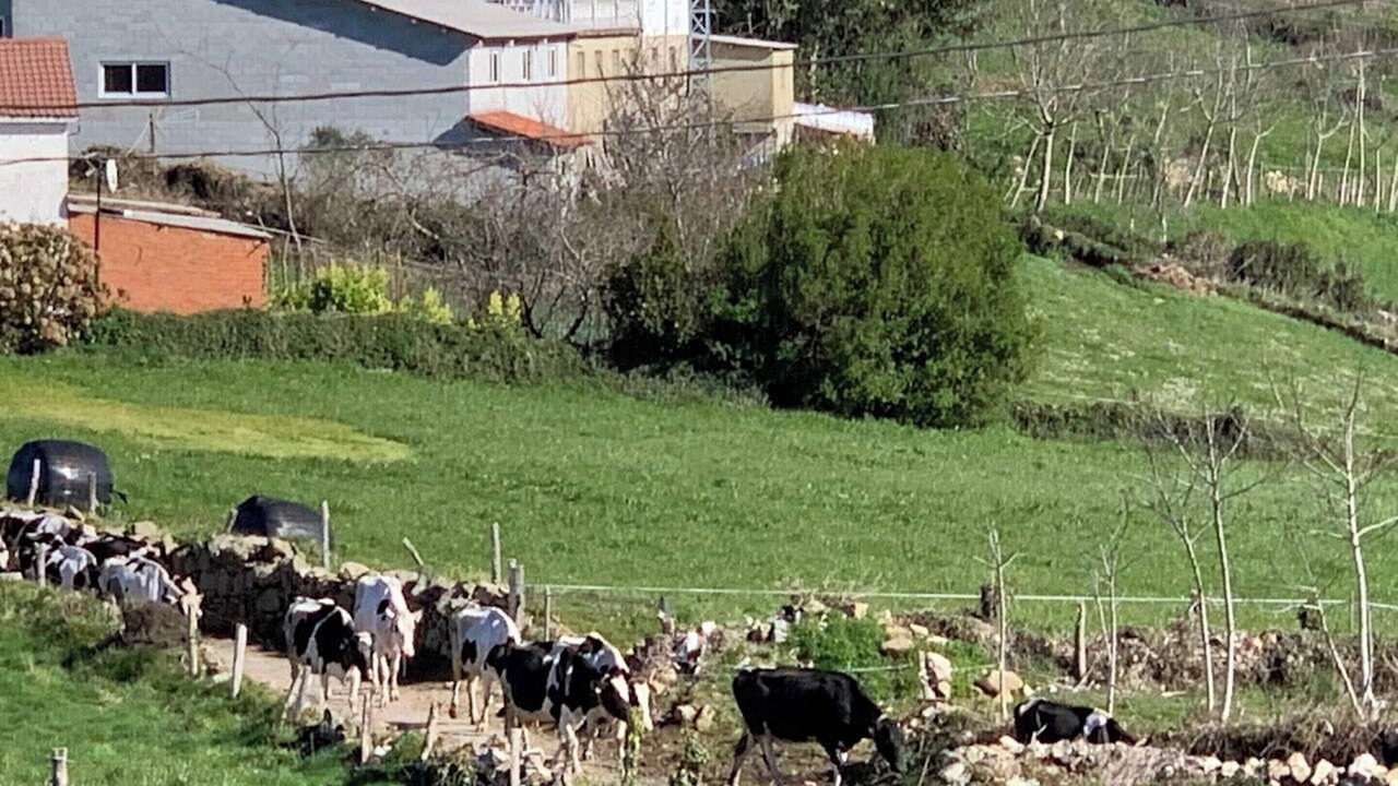 Photo of Outdoor in Las Rubias