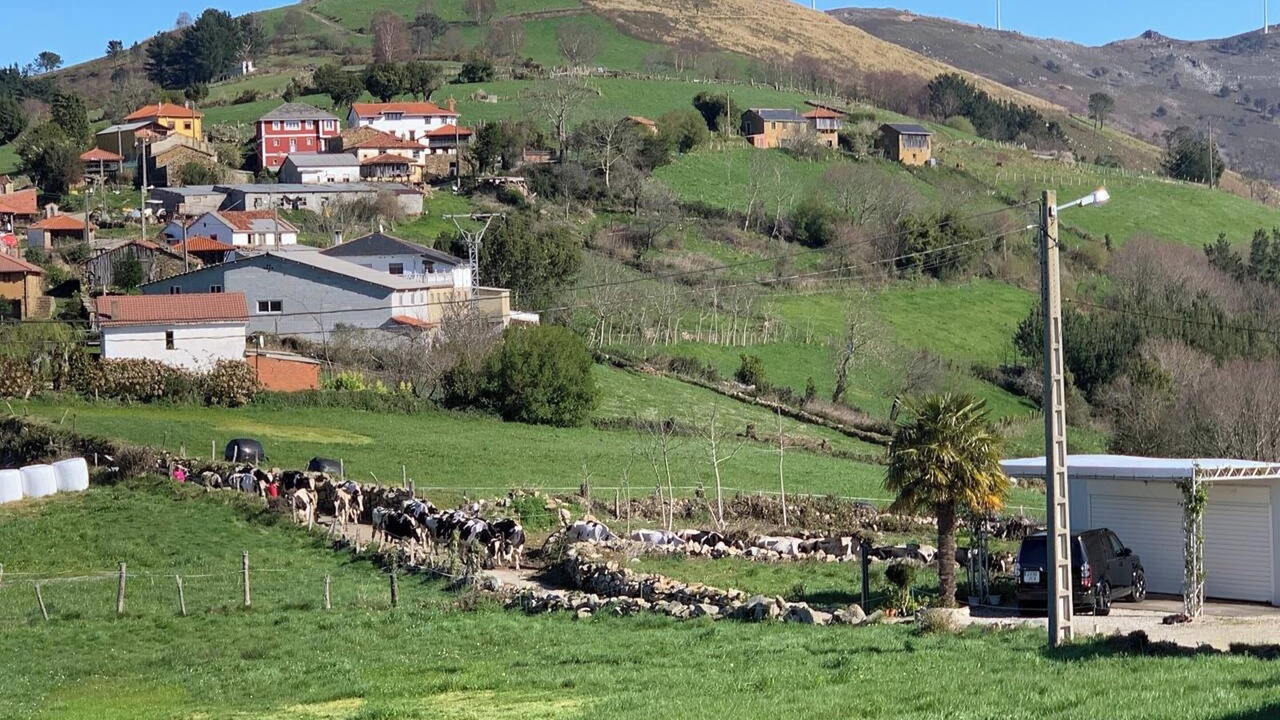 Photo of Others in Las Rubias