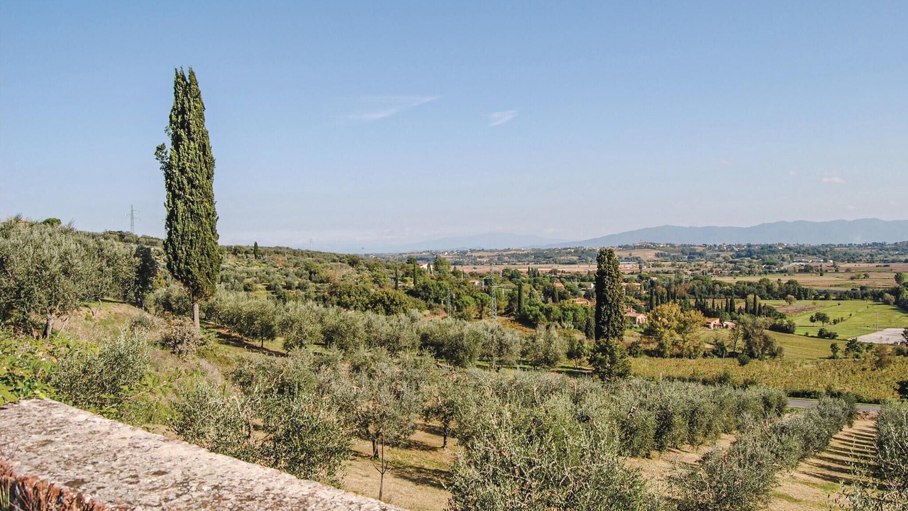 Photo of Others in Monte San Savino