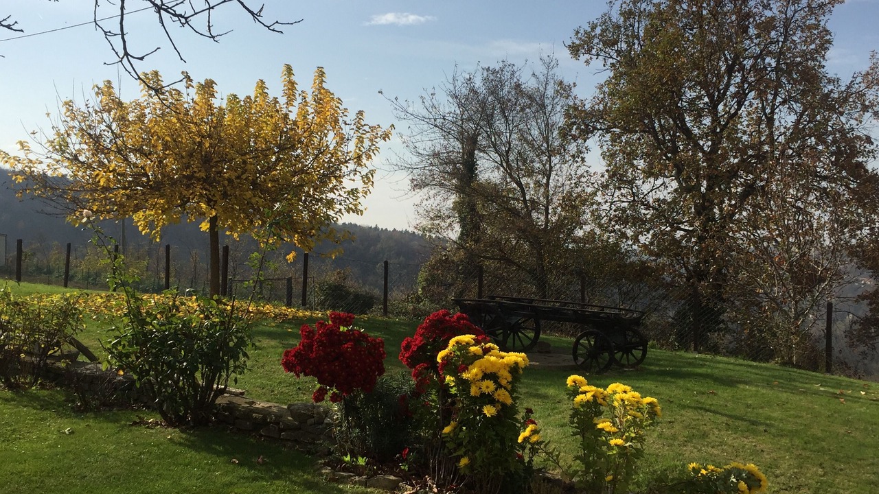Photo of Outdoor in Bossolasco