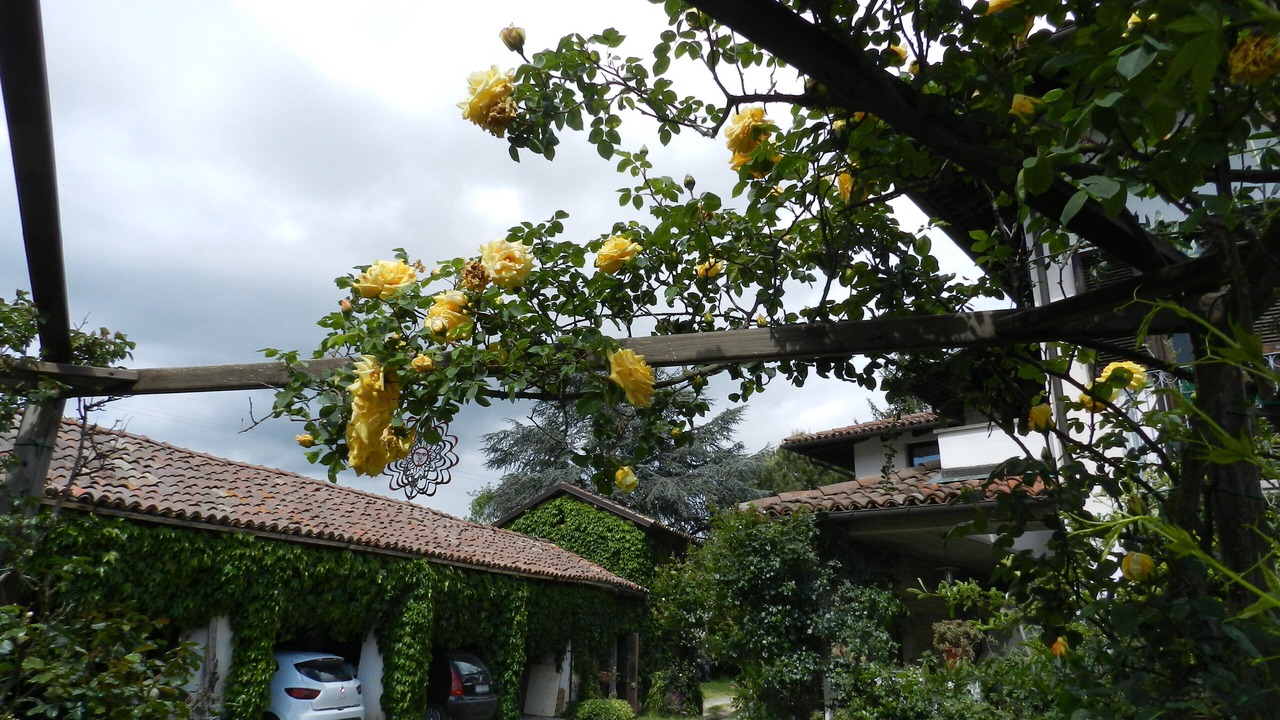 Photo of Outdoor in Vesime