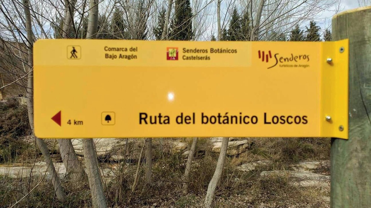 Photo of Others in Castelseras