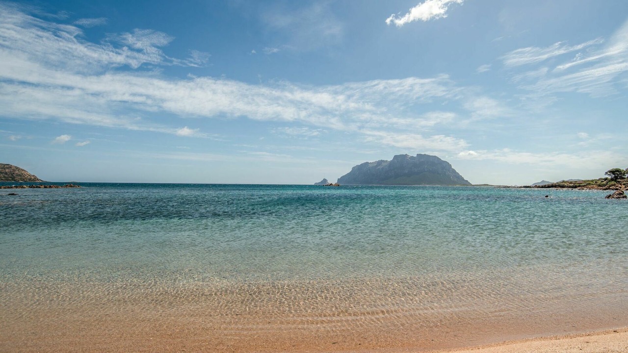 Photo of Others in Costa Corallina