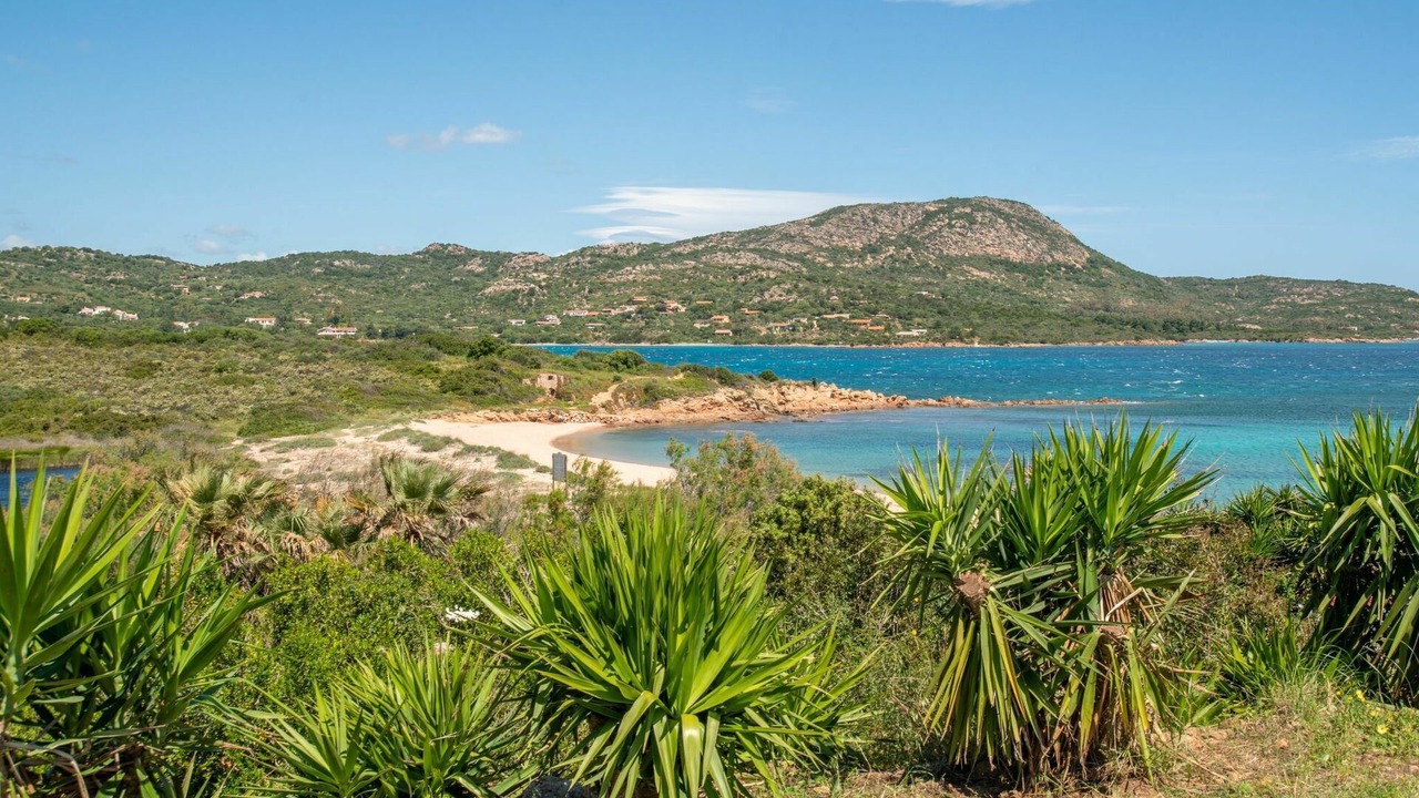 Photo of Others in Costa Corallina