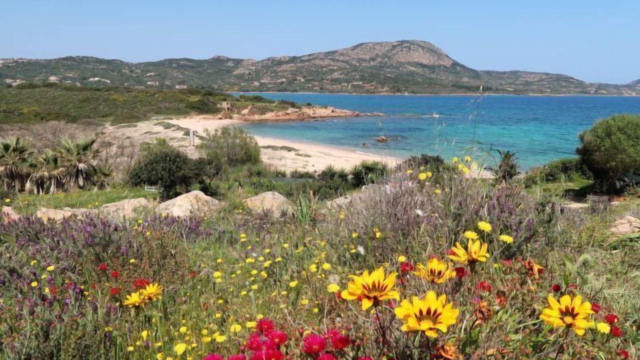 Photo of Outdoor in Costa Corallina