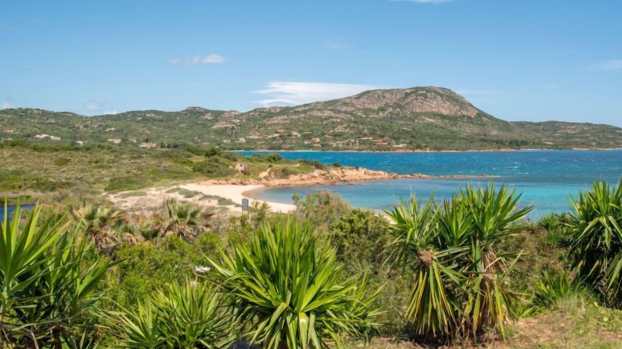 Photo of Others in Costa Corallina