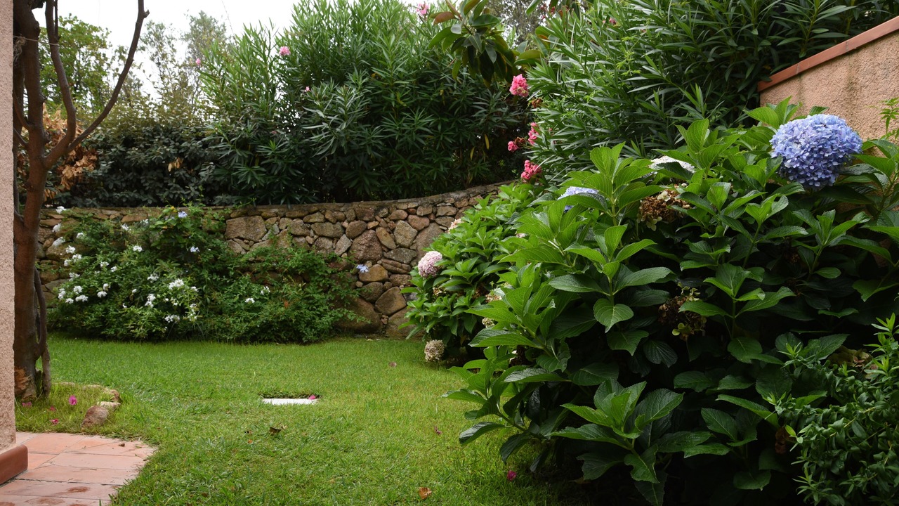 Photo of Outdoor in La Conia