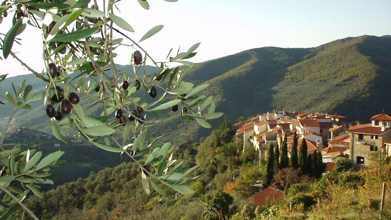 Photo of Outdoor in Chiusanico