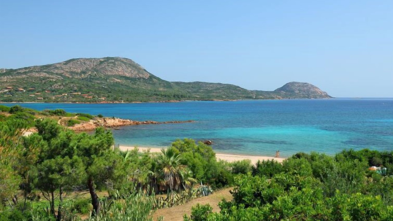 Photo of Others in Costa Corallina