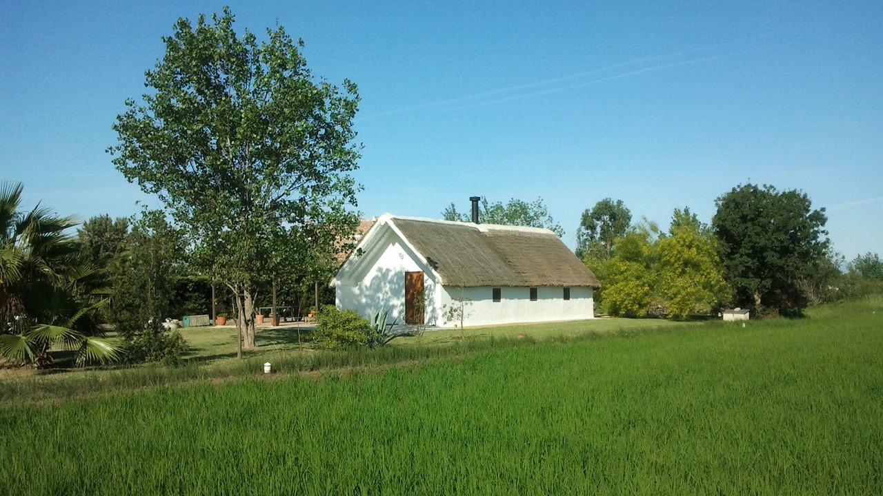 Photo of Outdoor in Sant Jaume d'Enveja