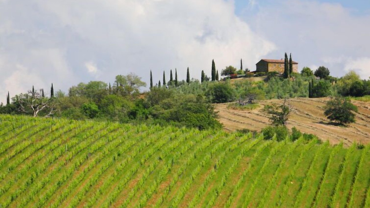 Photo of Others in Scansano