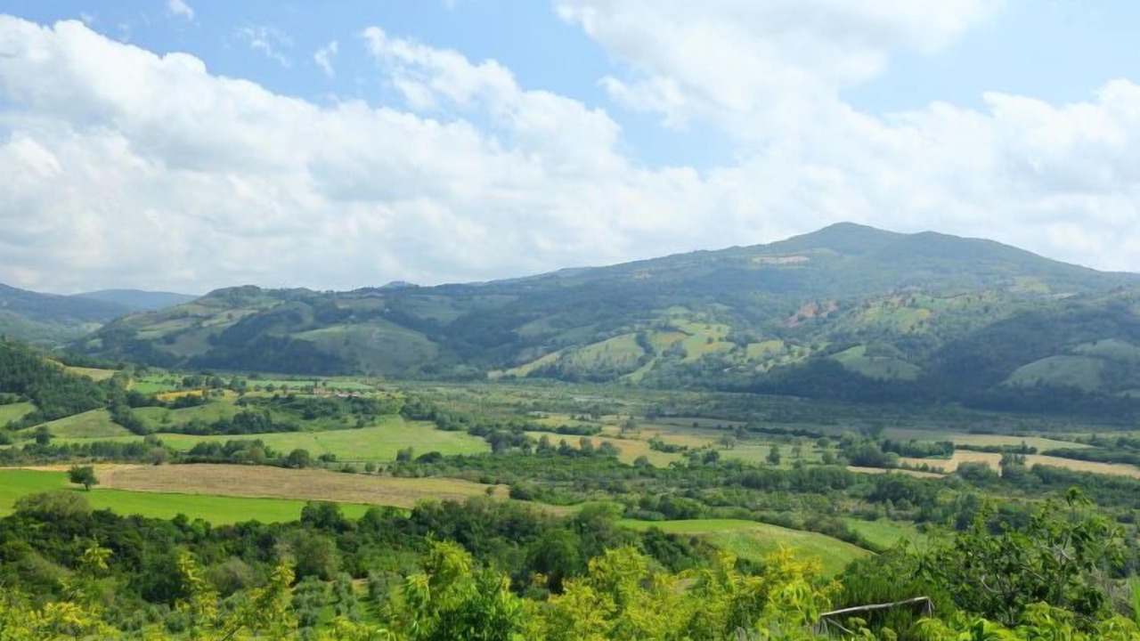 Photo of Others in Scansano