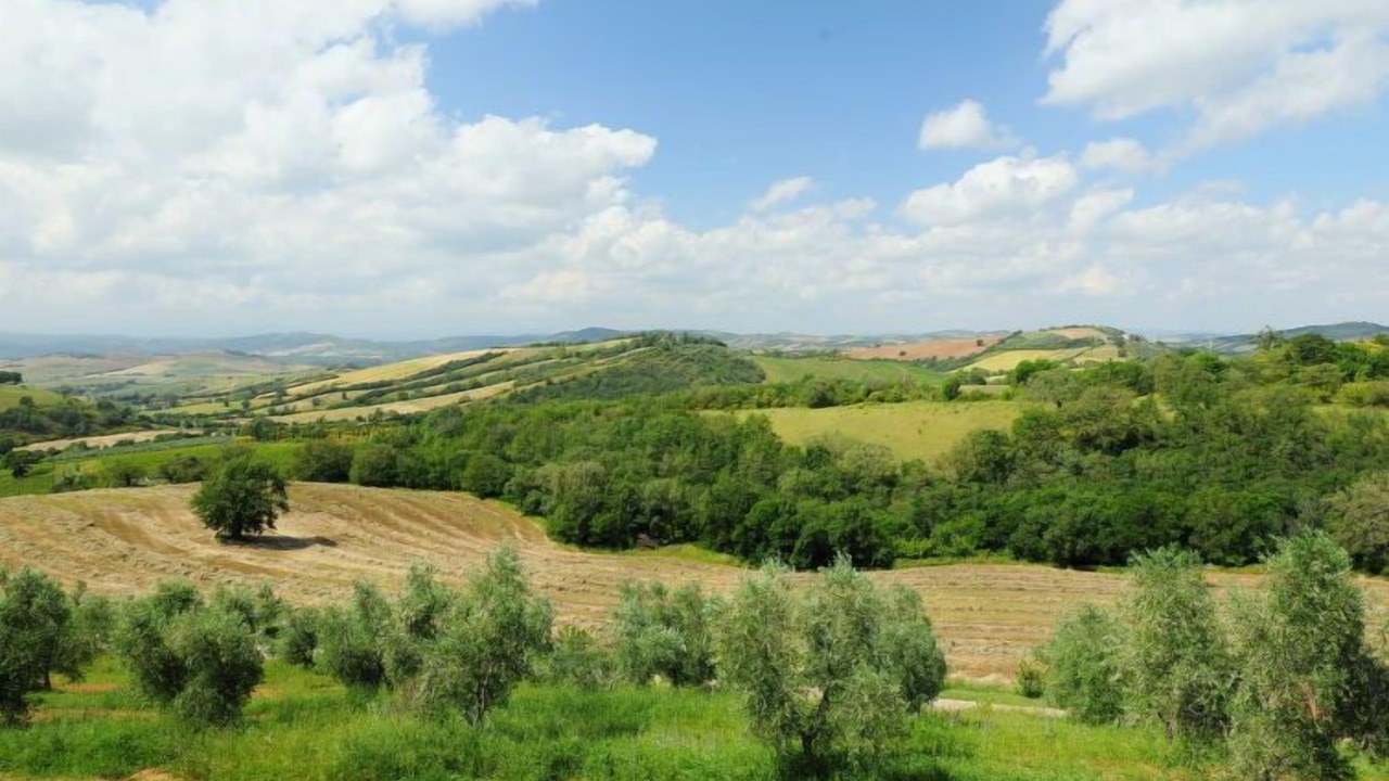 Photo of Others in Scansano