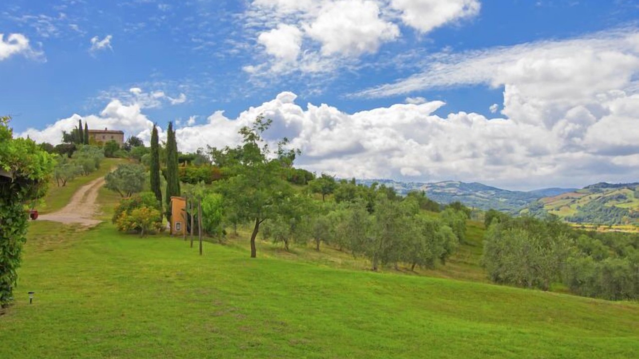 Photo of Others in Scansano