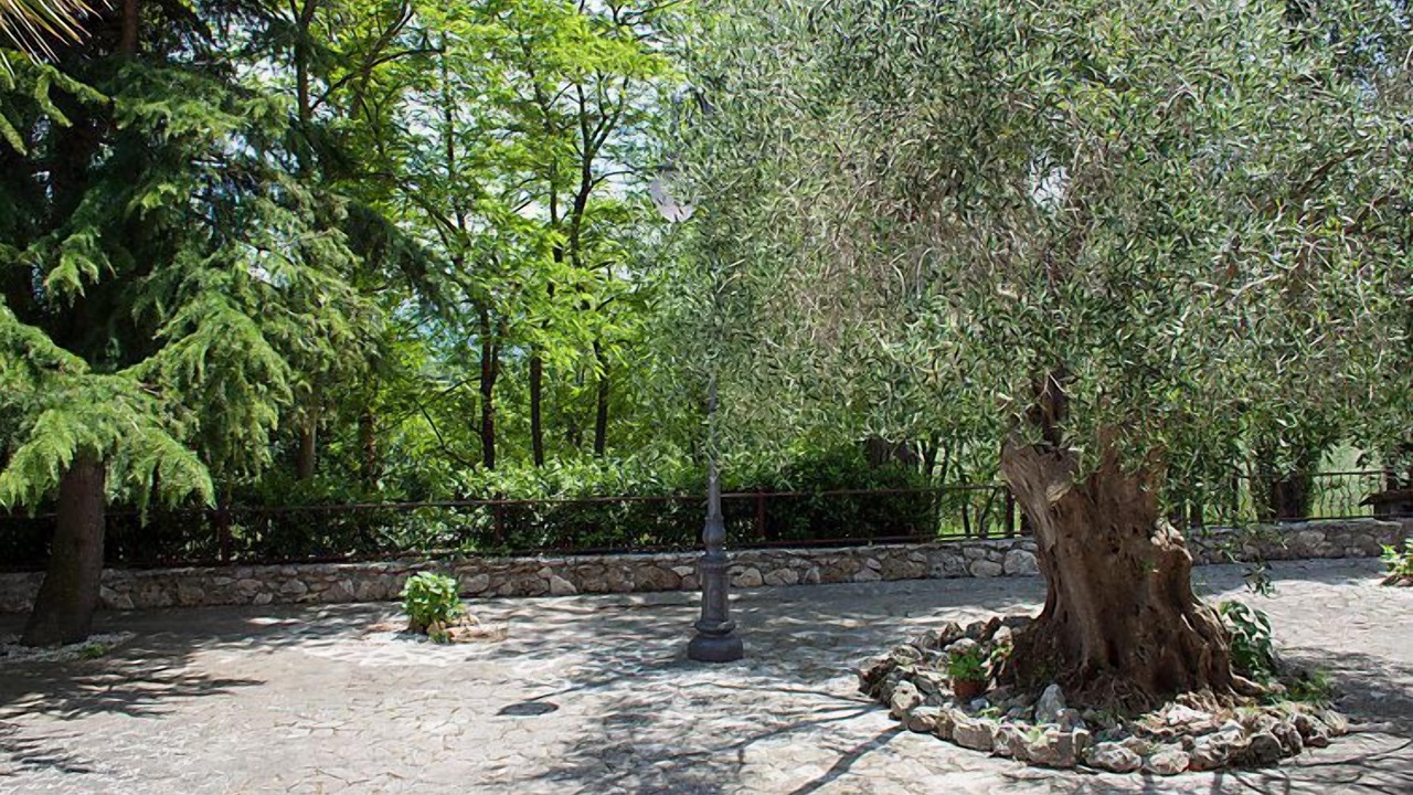 Photo of Others in Massa Martana