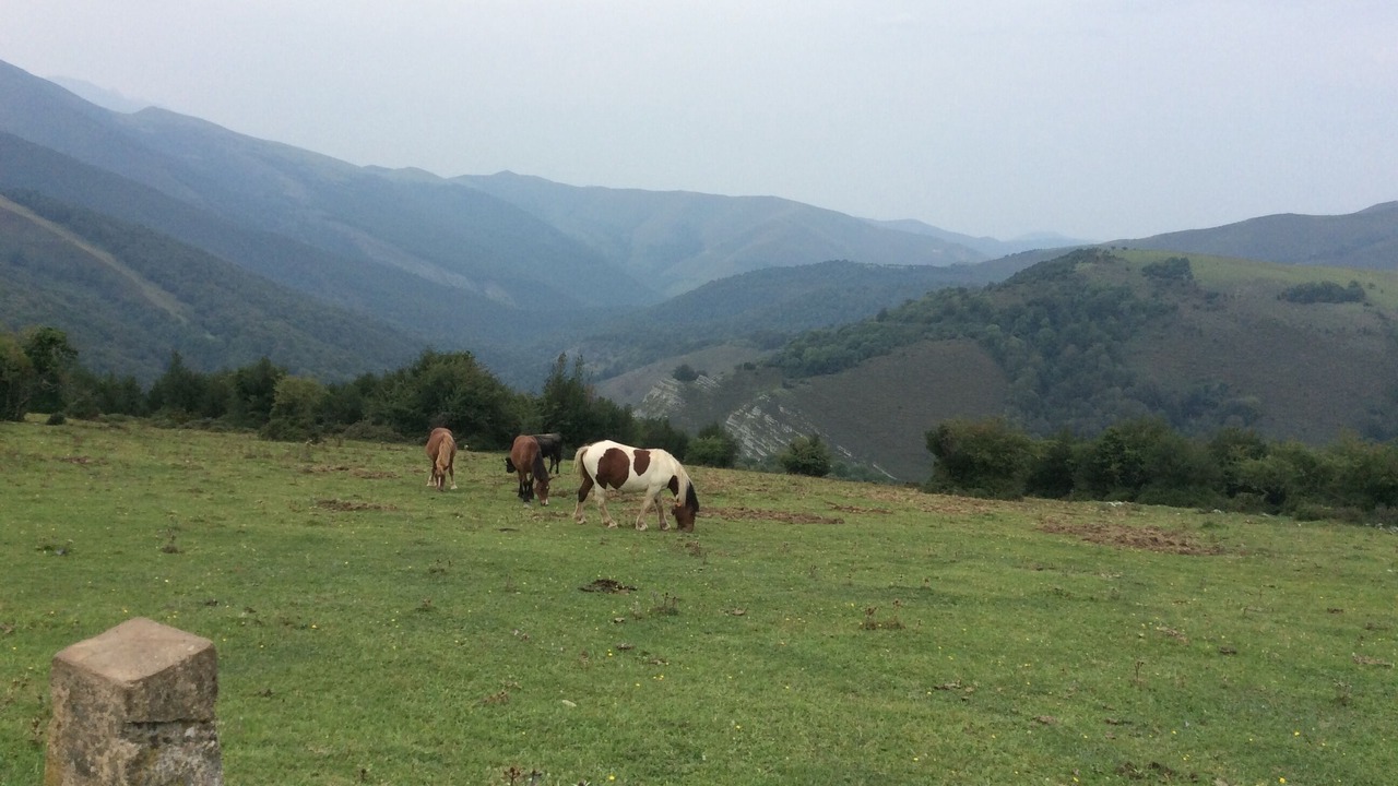 Photo of Outdoor in Reocin de los Molinos