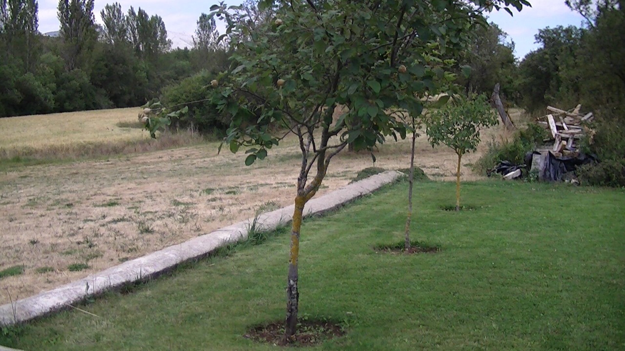 Photo of Outdoor in Roscales de la Pena
