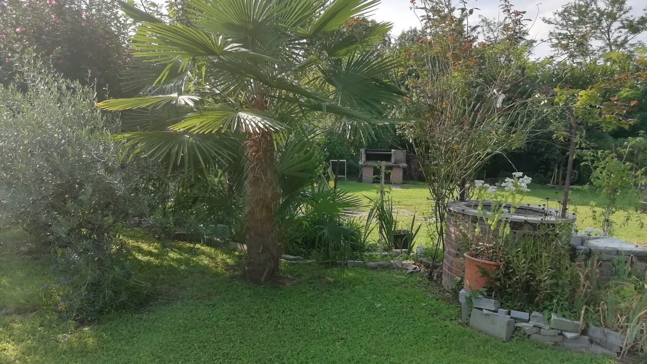 Photo of Outdoor in Borgo Ticino