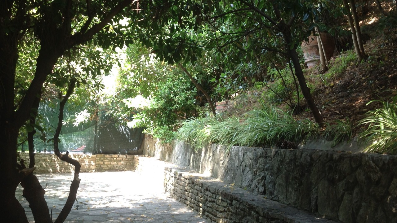 Photo of Outdoor in Tellaro