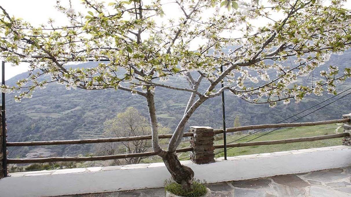 Photo of Outdoor in Bubion