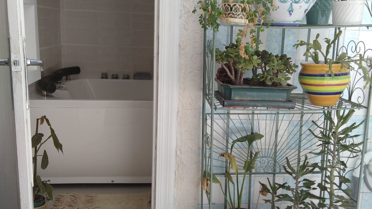 Photo of Bathroom in Aguilas