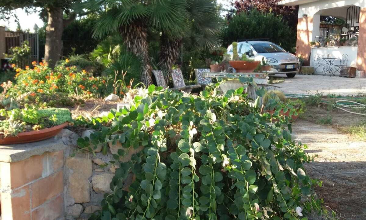 Photo of Outdoor in Cerveteri