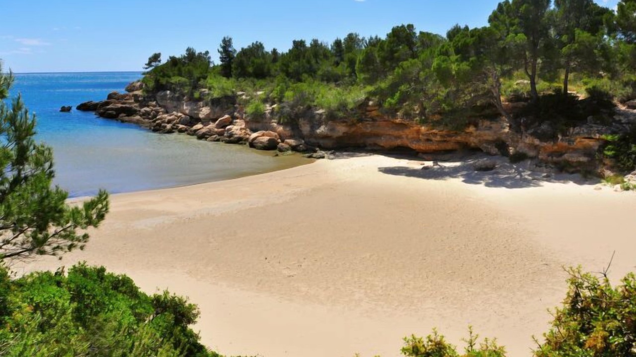 Photo of Others in Calafat